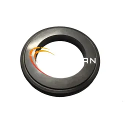 CONTREFACE IN 25X40X6  -  CARBURE/VITON